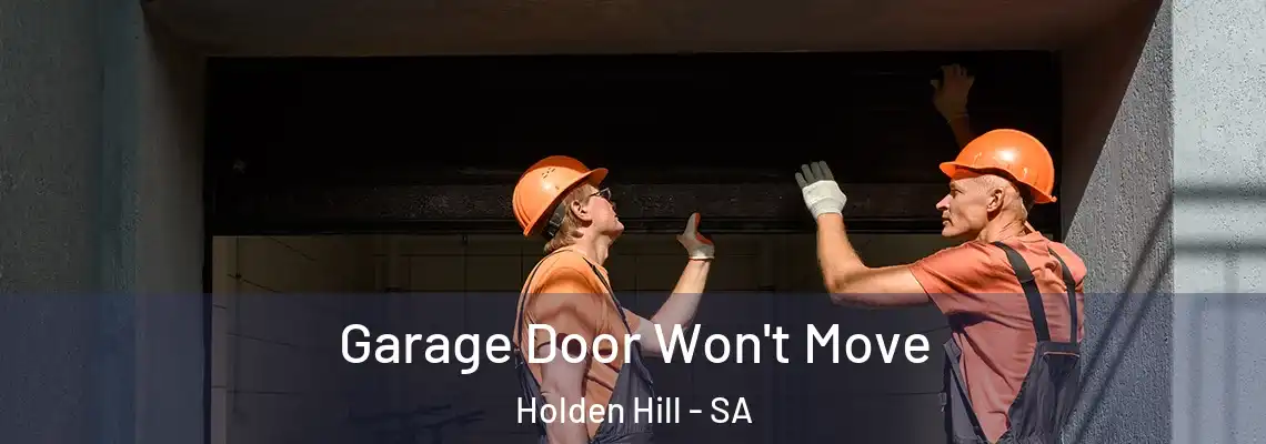  Garage Door Won't Move Holden Hill - SA