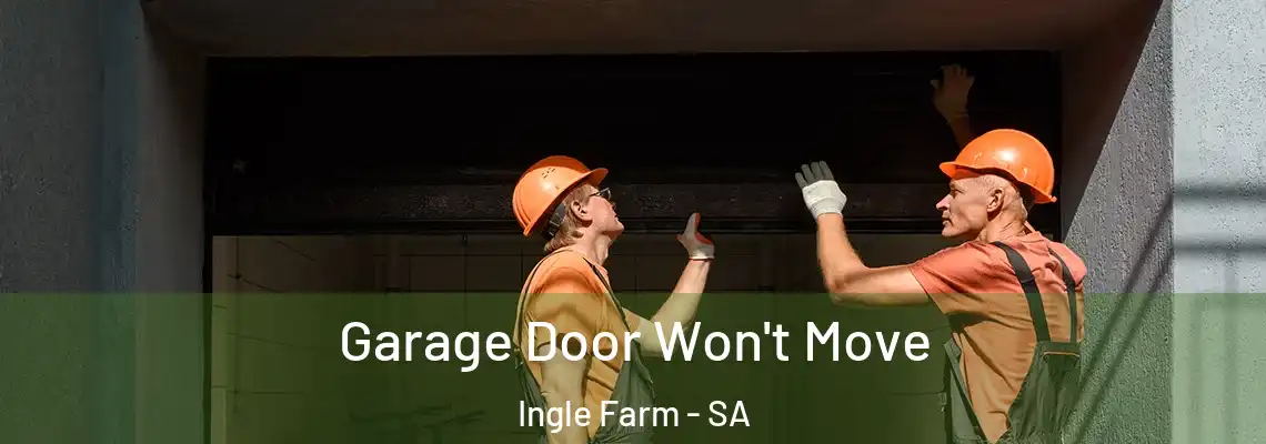  Garage Door Won't Move Ingle Farm - SA