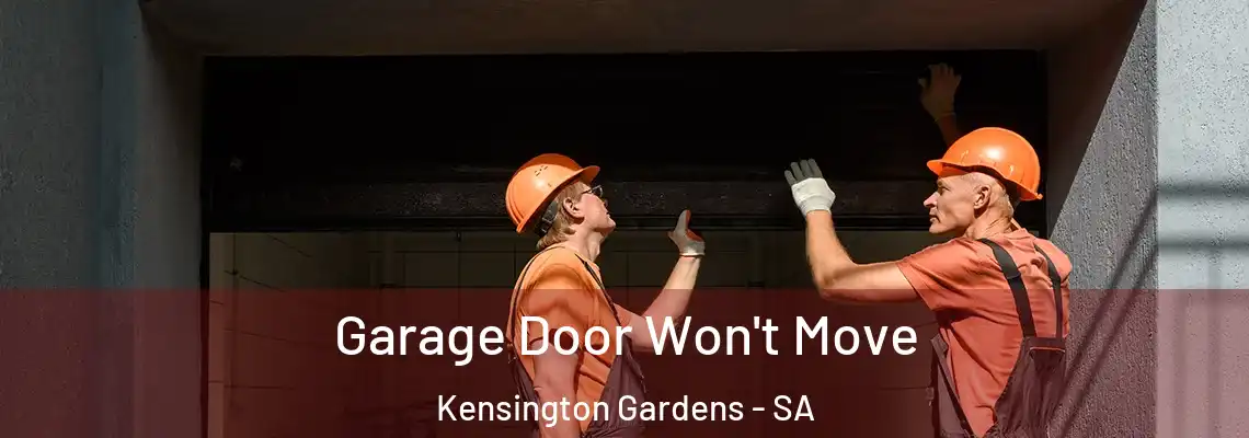  Garage Door Won't Move Kensington Gardens - SA