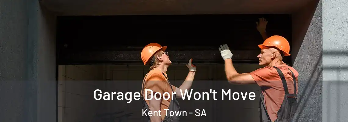  Garage Door Won't Move Kent Town - SA