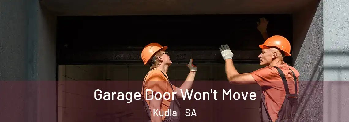  Garage Door Won't Move Kudla - SA