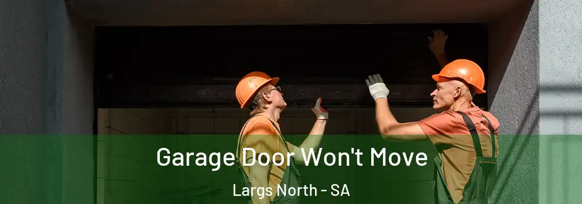  Garage Door Won't Move Largs North - SA