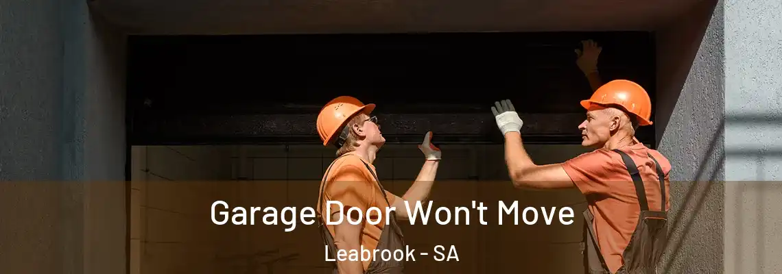  Garage Door Won't Move Leabrook - SA