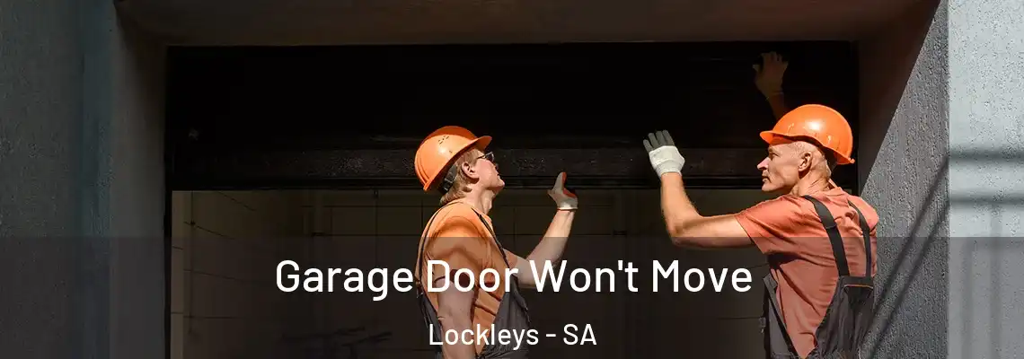  Garage Door Won't Move Lockleys - SA