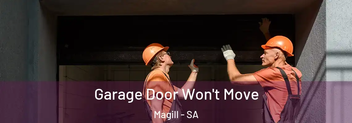  Garage Door Won't Move Magill - SA