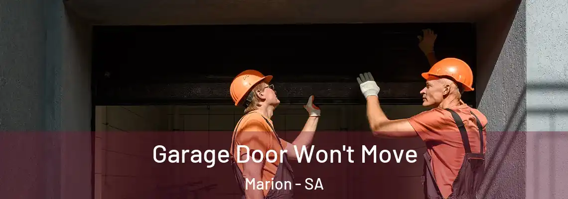  Garage Door Won't Move Marion - SA