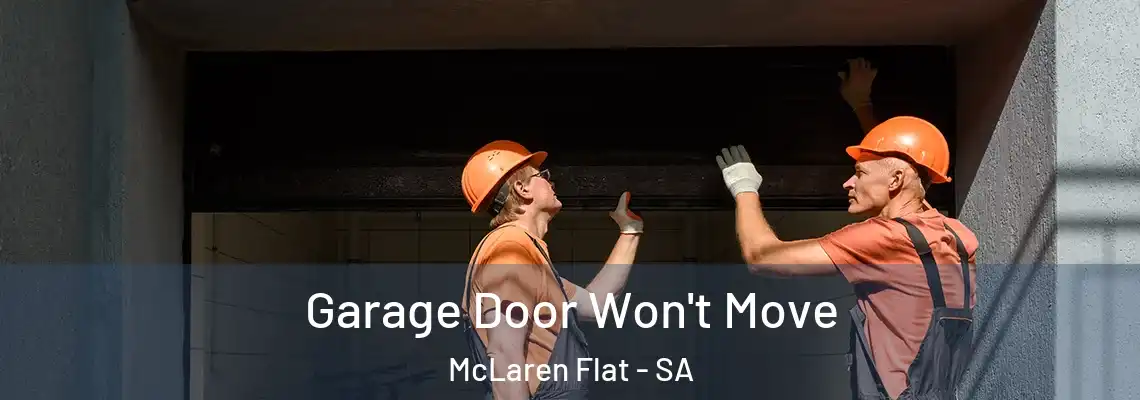 Garage Door Won't Move McLaren Flat - SA