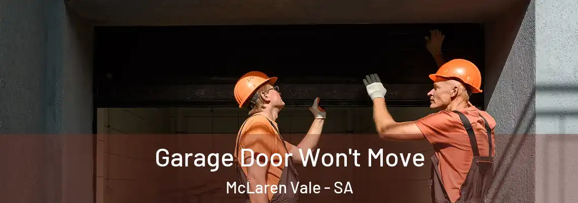  Garage Door Won't Move McLaren Vale - SA