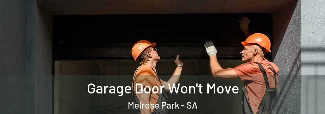  Garage Door Won't Move Melrose Park - SA