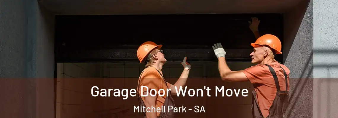  Garage Door Won't Move Mitchell Park - SA