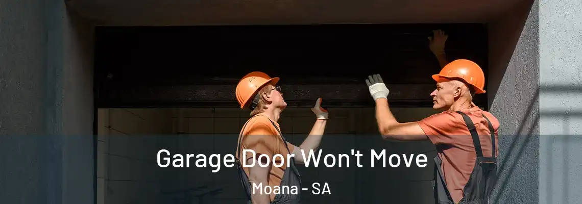  Garage Door Won't Move Moana - SA