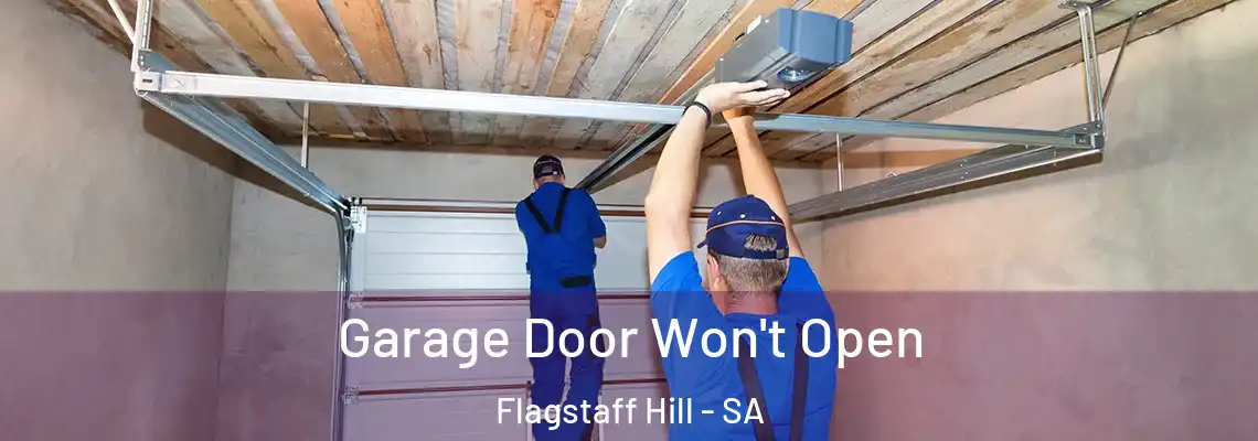 Garage Door Won't Open Flagstaff Hill - SA