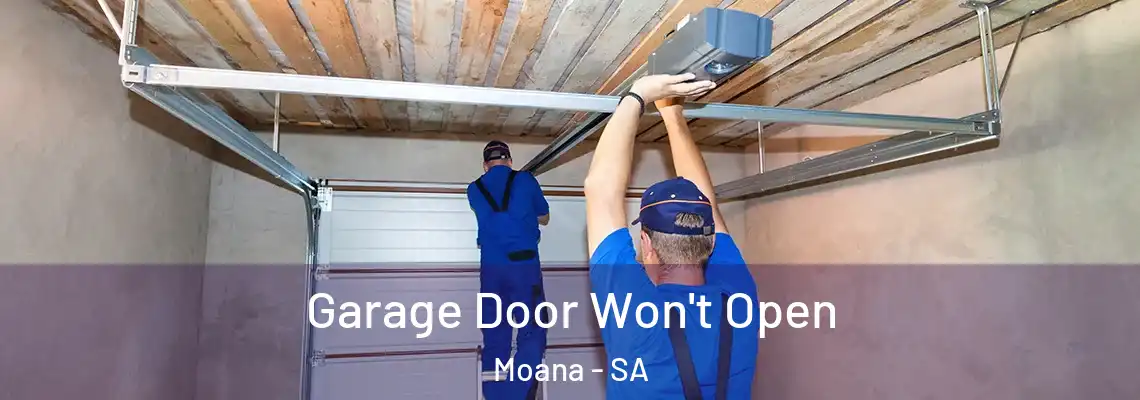  Garage Door Won't Open Moana - SA