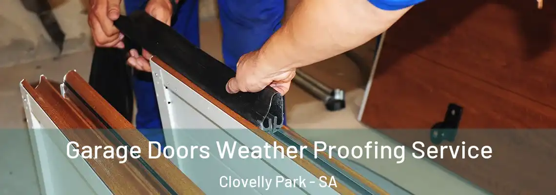  Garage Doors Weather Proofing Service Clovelly Park - SA