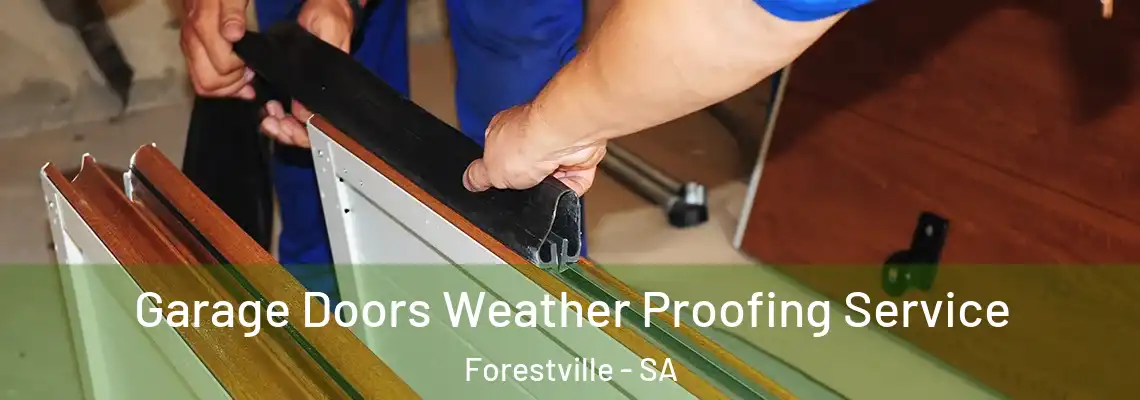  Garage Doors Weather Proofing Service Forestville - SA