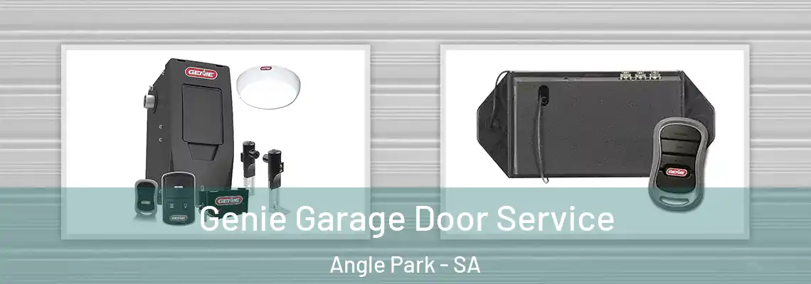  Genie Garage Door Service Angle Park - SA
