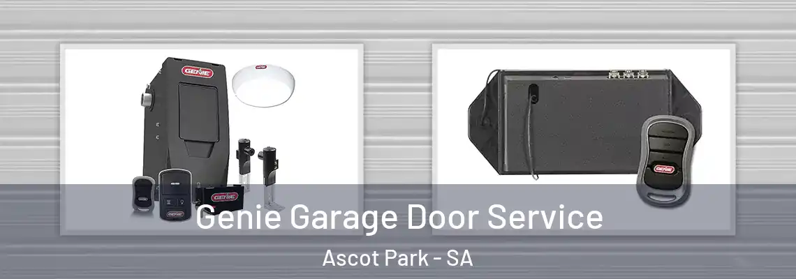  Genie Garage Door Service Ascot Park - SA
