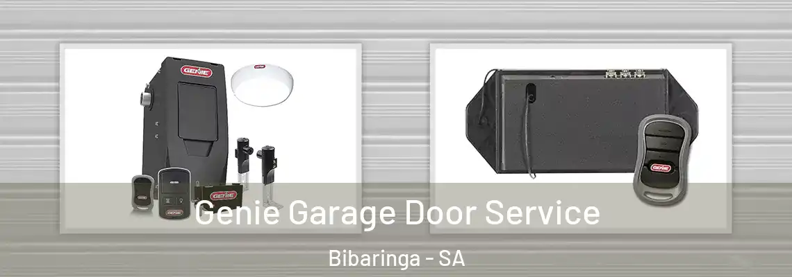  Genie Garage Door Service Bibaringa - SA
