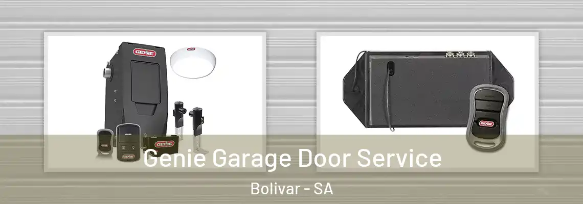  Genie Garage Door Service Bolivar - SA