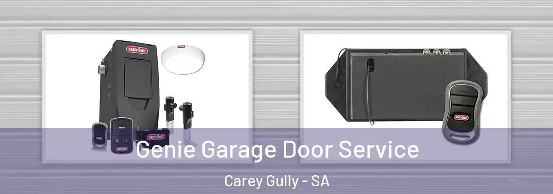  Genie Garage Door Service Carey Gully - SA