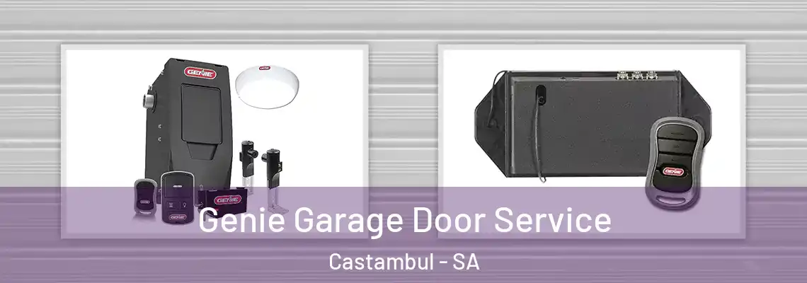  Genie Garage Door Service Castambul - SA