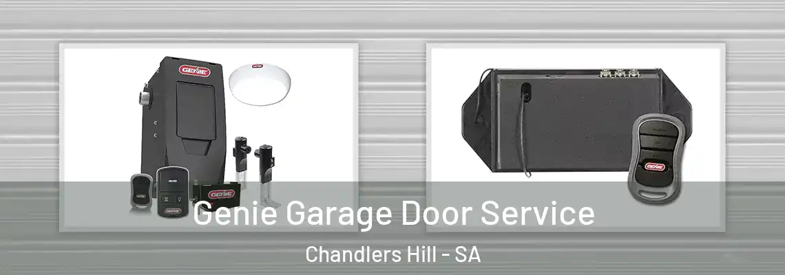  Genie Garage Door Service Chandlers Hill - SA