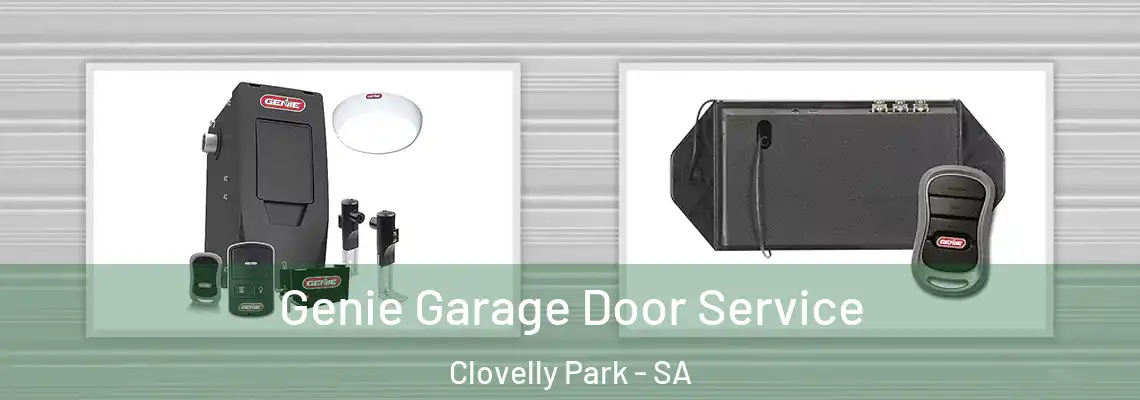  Genie Garage Door Service Clovelly Park - SA