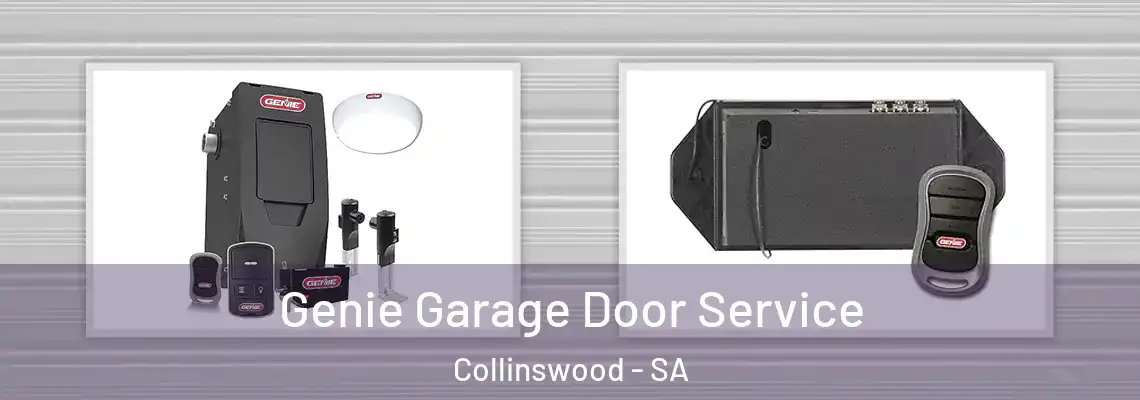  Genie Garage Door Service Collinswood - SA