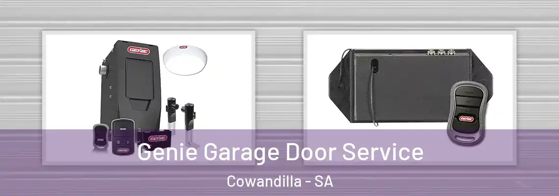  Genie Garage Door Service Cowandilla - SA