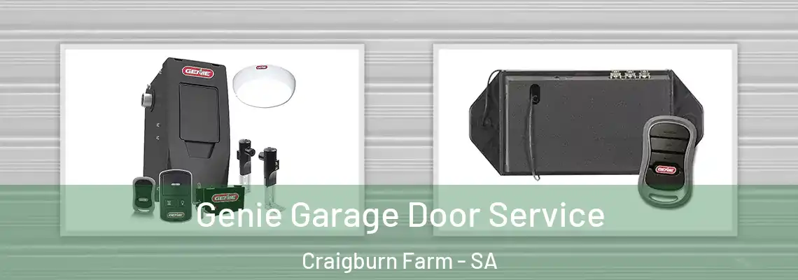  Genie Garage Door Service Craigburn Farm - SA