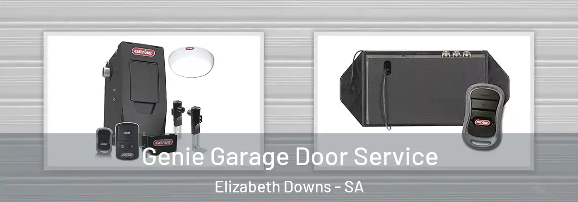  Genie Garage Door Service Elizabeth Downs - SA