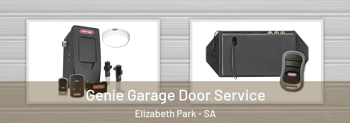  Genie Garage Door Service Elizabeth Park - SA