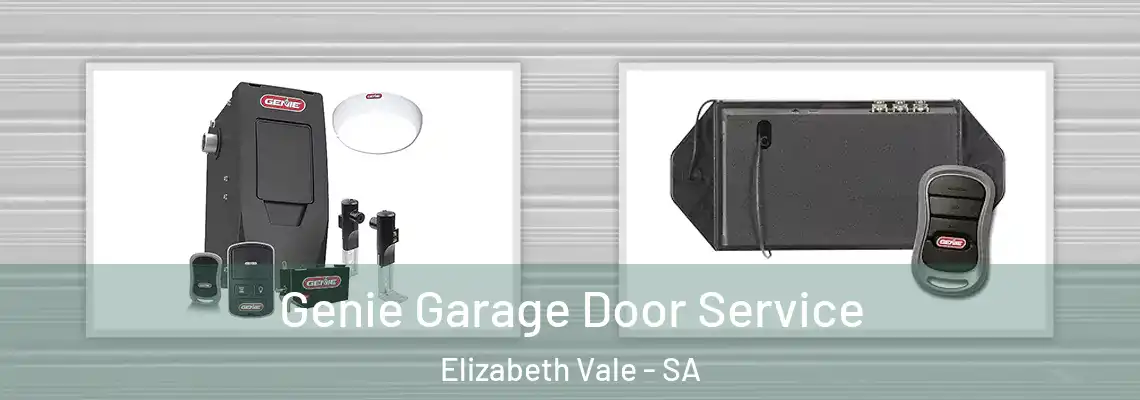  Genie Garage Door Service Elizabeth Vale - SA