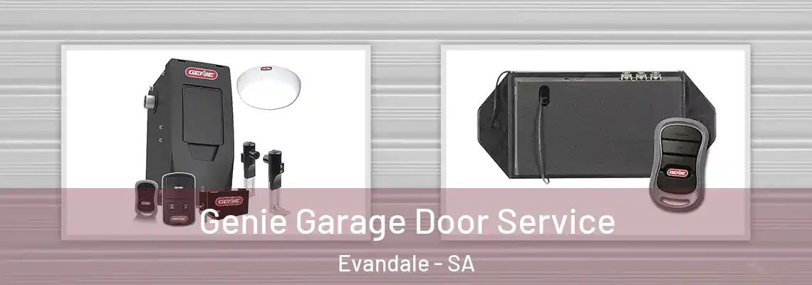  Genie Garage Door Service Evandale - SA