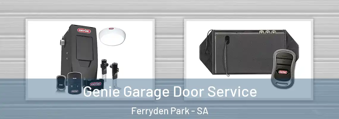  Genie Garage Door Service Ferryden Park - SA