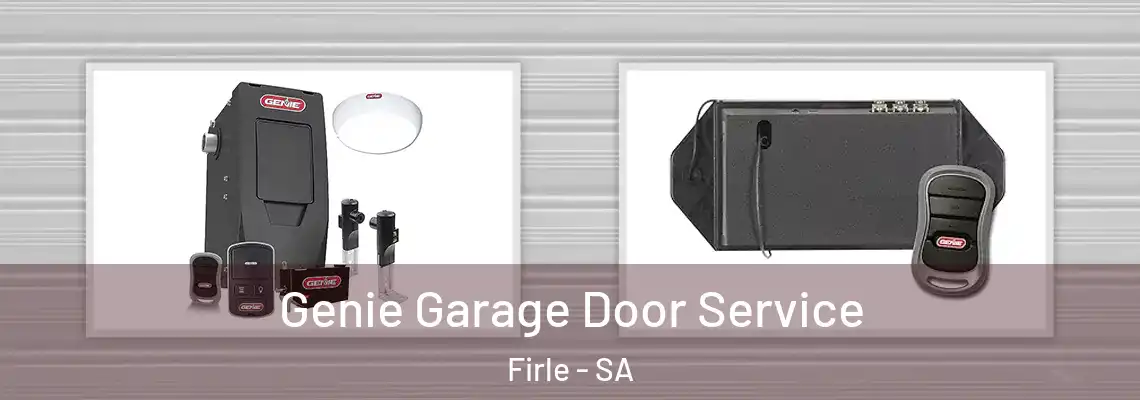  Genie Garage Door Service Firle - SA