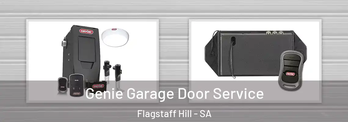  Genie Garage Door Service Flagstaff Hill - SA
