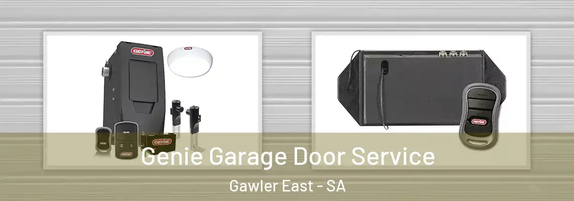  Genie Garage Door Service Gawler East - SA