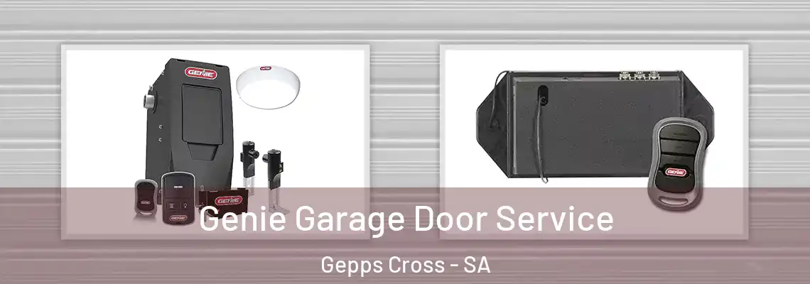  Genie Garage Door Service Gepps Cross - SA
