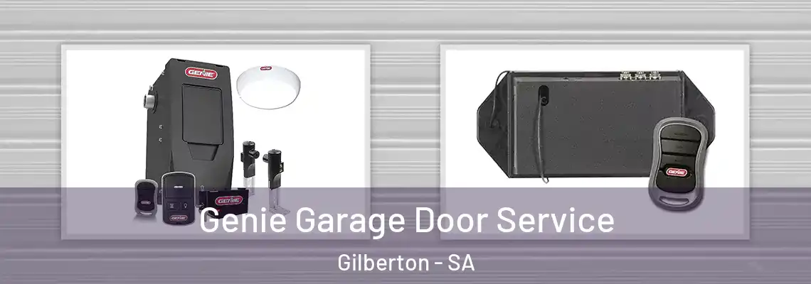  Genie Garage Door Service Gilberton - SA