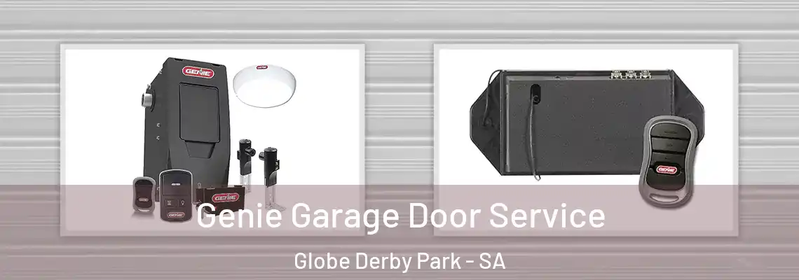  Genie Garage Door Service Globe Derby Park - SA