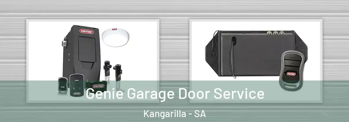  Genie Garage Door Service Kangarilla - SA