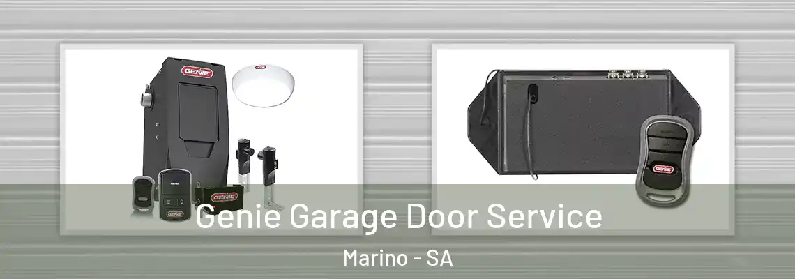  Genie Garage Door Service Marino - SA