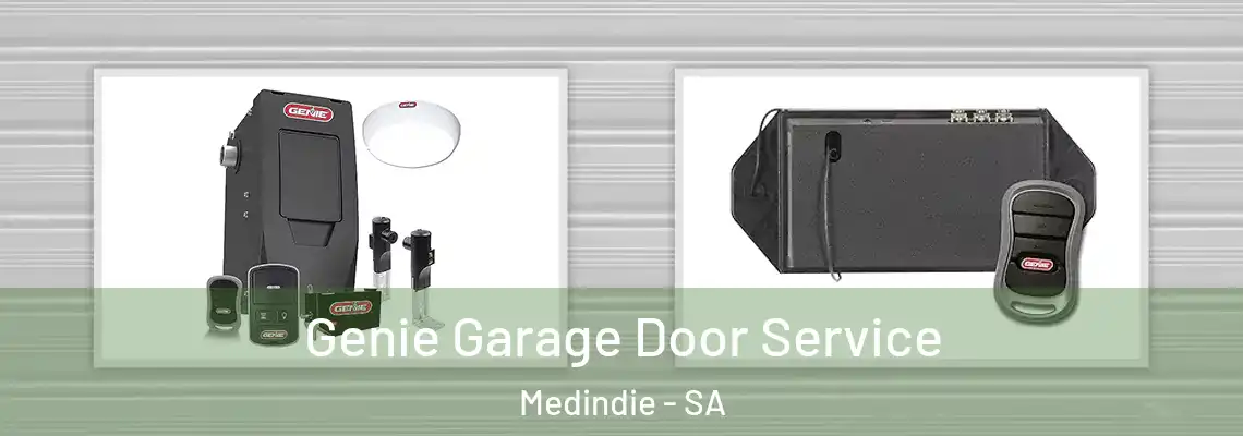  Genie Garage Door Service Medindie - SA