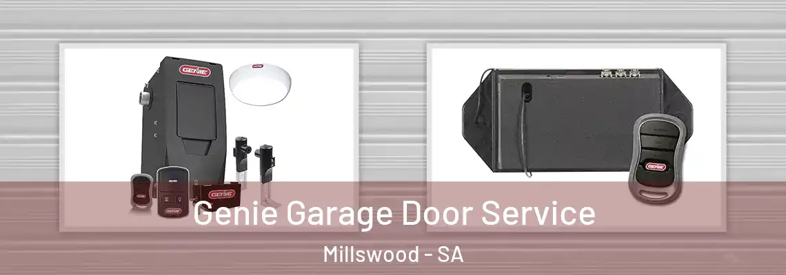  Genie Garage Door Service Millswood - SA