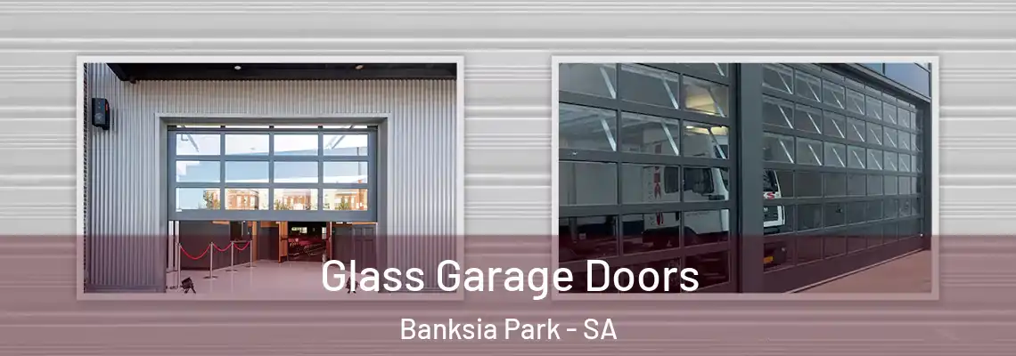  Glass Garage Doors Banksia Park - SA