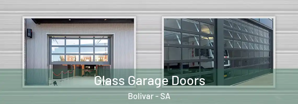  Glass Garage Doors Bolivar - SA