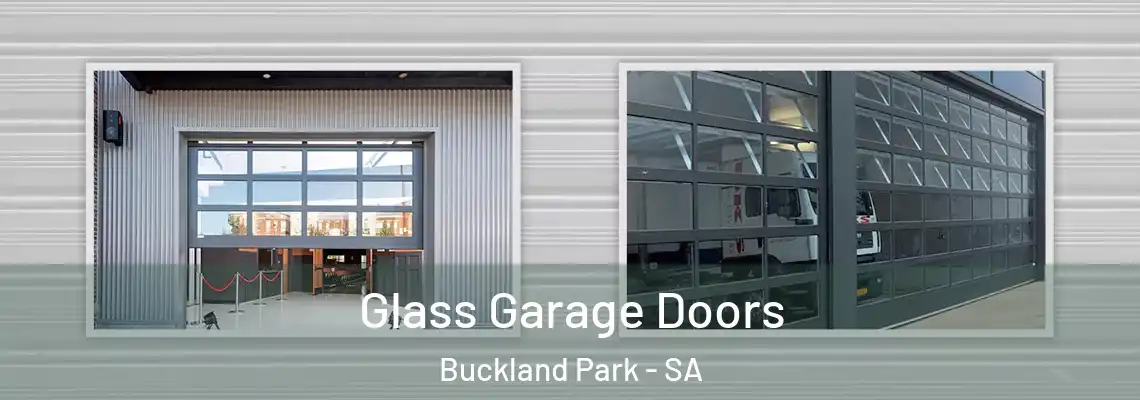  Glass Garage Doors Buckland Park - SA
