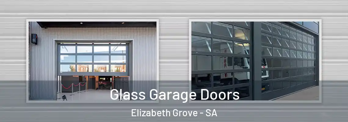  Glass Garage Doors Elizabeth Grove - SA