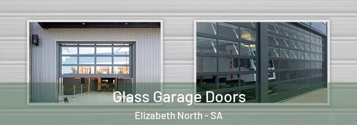  Glass Garage Doors Elizabeth North - SA